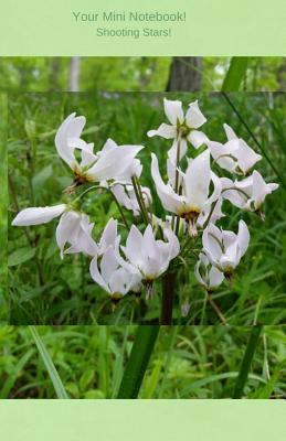 [cd4b7] %R.e.a.d! Your Notebook! Shooting Stars: A Journal with Lovely Shooting Stars Dancing on the Cover -  #ePub*