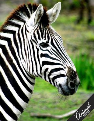 [c5f83] !Full# %Download@ Animal Notebook Collection: Zebra, Journal/Diary, Wide Ruled, 100 Pages, 8.5 X 11, Composition Book -  *P.D.F#