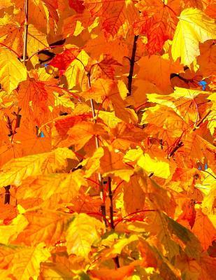 [1a2d1] ^Read@ Journal: 8.5 X 11, 160 Page Lined Journal/Notebook -  @e.P.u.b%