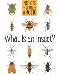 [60bf5] %R.e.a.d^ !O.n.l.i.n.e^ What is an insect? (Insects of the Arctic series) - Carolyn Mallory ^e.P.u.b@