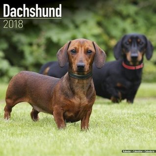 [6c8ea] *R.e.a.d! @O.n.l.i.n.e# Dachshund Calendar - Dog Breed Calendars - 2017 - 2018 wall Calendars - 16 Month by Avonside -  ~PDF@